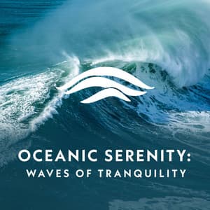 Oceanic Serenity: Waves of Tranquility - The Sound Reserve