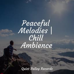 Peaceful Melodies | Chill Ambience - Relaxed Minds