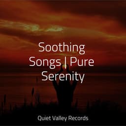 Soothing Songs | Pure Serenity - Calming Rainforest Sounds