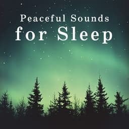 Peaceful Sounds for Sleep - Relaxing BGM Project