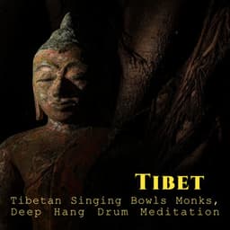 Tibet: Tibetan Singing Bowls Monks, Deep Hang Drum Meditation - Chanting Buddhist World