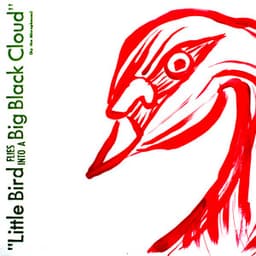 Little Bird Flies into a Big Black Cloud - The Microphones