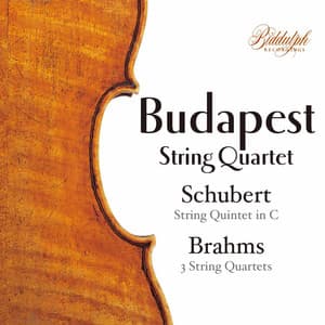 Schubert & Brahms: Chamber Works - Budapest String Quartet