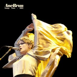 Songs Tour 2013 - Ane Brun
