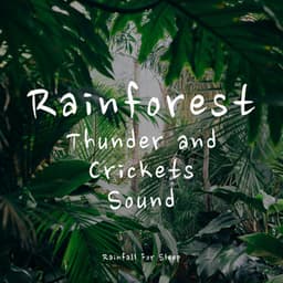 Rainforest, Thunder and Crickets Sound - Rainfall For Sleep