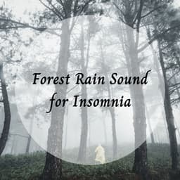 Forest Rain Sound for Insomnia - rainstantly