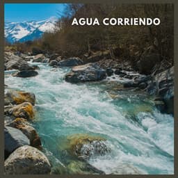 Agua Corriendo - Sonidos De Agua
