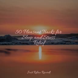 50 Pleasant Tracks for Sleep and Stress Relief - Relaxamento