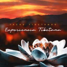 Experiencia Tibetana - Taças Tibetanas