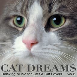 CAT DREAMS - Relaxing Music for Cats & Cat lovers Vol.2 - PETS LOVE MUSIC
