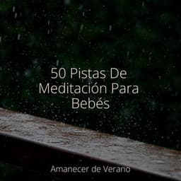 50 Pistas De Meditación Para Bebés - Massage Therapy Music