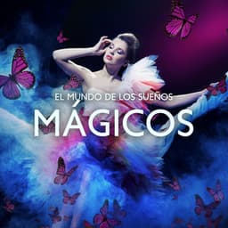 El Mundo de los Sueños Mágicos - Dormir Maestro