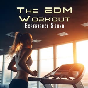 The EDM Workout Experience Sound: Energetic Running Music, Gym Bros Music - Summer Sensations Of Life 2023