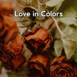 Love in Colors - Sound Sleeping
