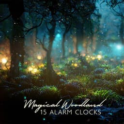 Magical Woodland - Imagination Music Universe