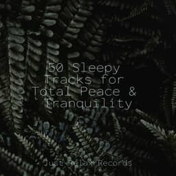 50 Sleepy Tracks for Total Peace & Tranquility - Instrumental