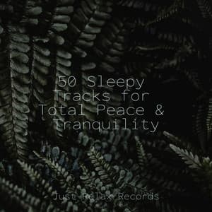 50 Sleepy Tracks for Total Peace & Tranquility - Instrumental