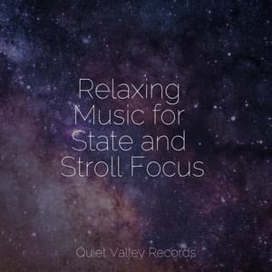 Relaxing Music for State and Stroll Focus - Tinnitus