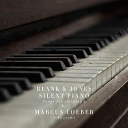 Silent Piano  2 - Piet Blank