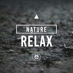 Nature Relax - Relaxing Rain Sounds