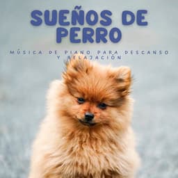 Sueños De Perro: Música De Piano Para Descanso Y Relajación - Relajante Piano Jazz