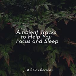 Ambient Tracks to Help You Focus and Sleep - Musica de Relajación Academy