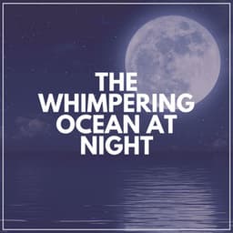 The Whimpering Ocean At Night - Brain Timbre