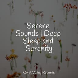 Serene Sounds | Deep Sleep and Serenity - Oasis of Meditation