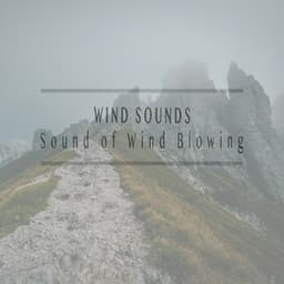 Sound of Wind Blowing - Wind Sounds