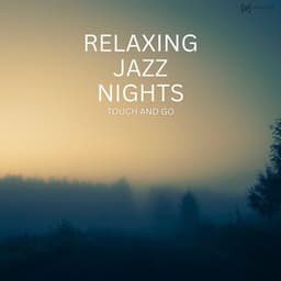 Touch And Go - The Late Night Vibe