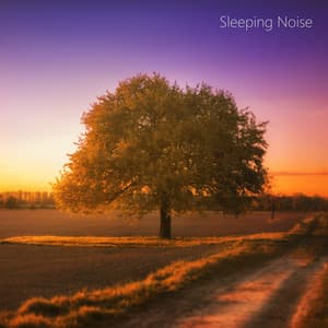 Focusing Sleep White Noise Looped - No Fade Noise