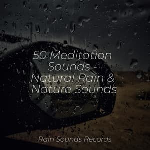 50 Meditation Sounds - Natural Rain & Nature Sounds - Relaxing Rain Sounds