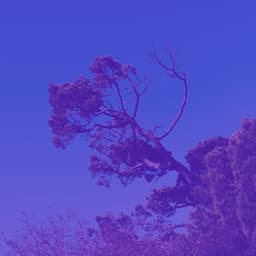 Backdrop for Kundalini Yoga - Yoga Music Moments