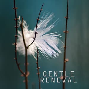 Gentle Renewal - Alan Samhita