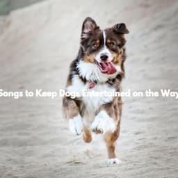 Songs to Keep Dogs Entertained on the Way - Música para Restaurantes Salón