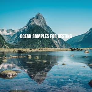 Ocean Samples for Resting - Ocean Waves For Sleep