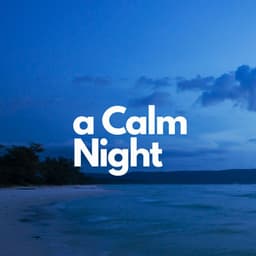 A Calm Night - Baby Mozart