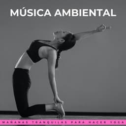 Música Ambiental: Mañanas Tranquilas Para Hacer Yoga - Reiki definitivo