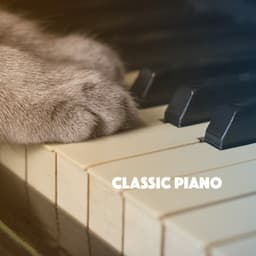 Classic Piano - Exam Study Classical Music Orchestra