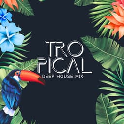 Tropical Deep House Mix: Holiday Chill Out Music Selection, Ibiza Beach Party Hits - Dj. Juliano BGM