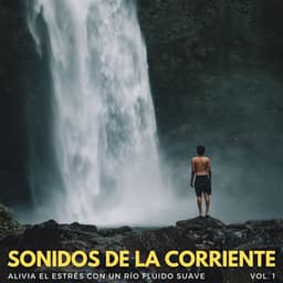 Sonidos De La Corriente: Alivia El Estrés Con Un Río Fluido Suave Vol. 1 - Naturaleza FX