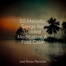 50 Melodic Songs for Guided Meditation & Find Calm - Sonido Del Bosque y Naturaleza