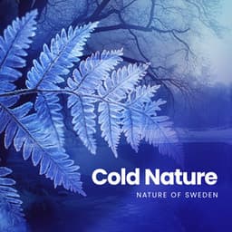 Cold Nature - Nature of Sweden