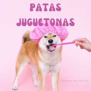 Patas Juguetonas: Acordes De Amistad - Jazz suave todas las estrellas