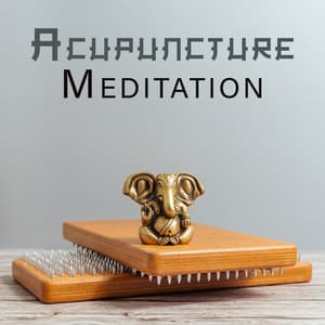 Acupuncture Meditation: Traditional Chinese Music for Mind and Body Regeneration - Tao Te Ching Music Zone