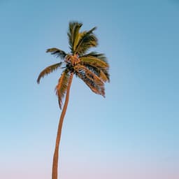 Share Positive Energy - Energy Healer