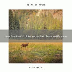 2020 Best: Now Gain the Call of the Mother Earth Tunes and Fly Away - Deep Sleep Nature Sounds
