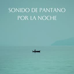Sonido De Pantano Por La Noche - Los durmientes de agua