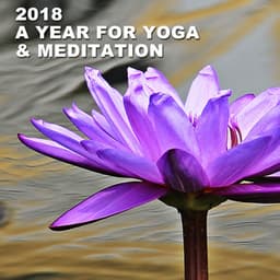 2018 - A Year for Yoga & Meditation - Yoga Music Workout