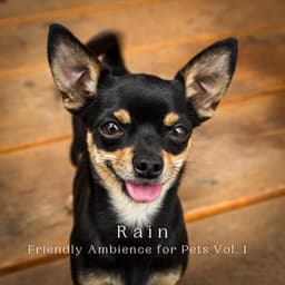 Rain: Friendly Ambience for Pets Vol. 1 - Noise and Nature